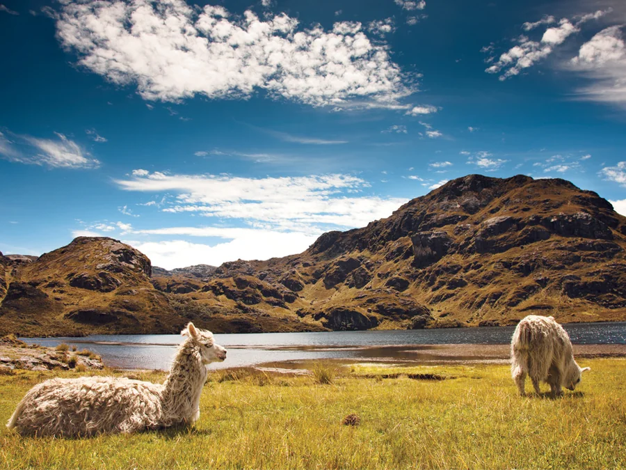 El Cajas National Park, Cuenca